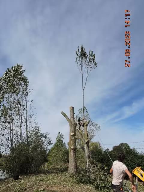Professionnel travaillant en sécurité assuré par un collègue
